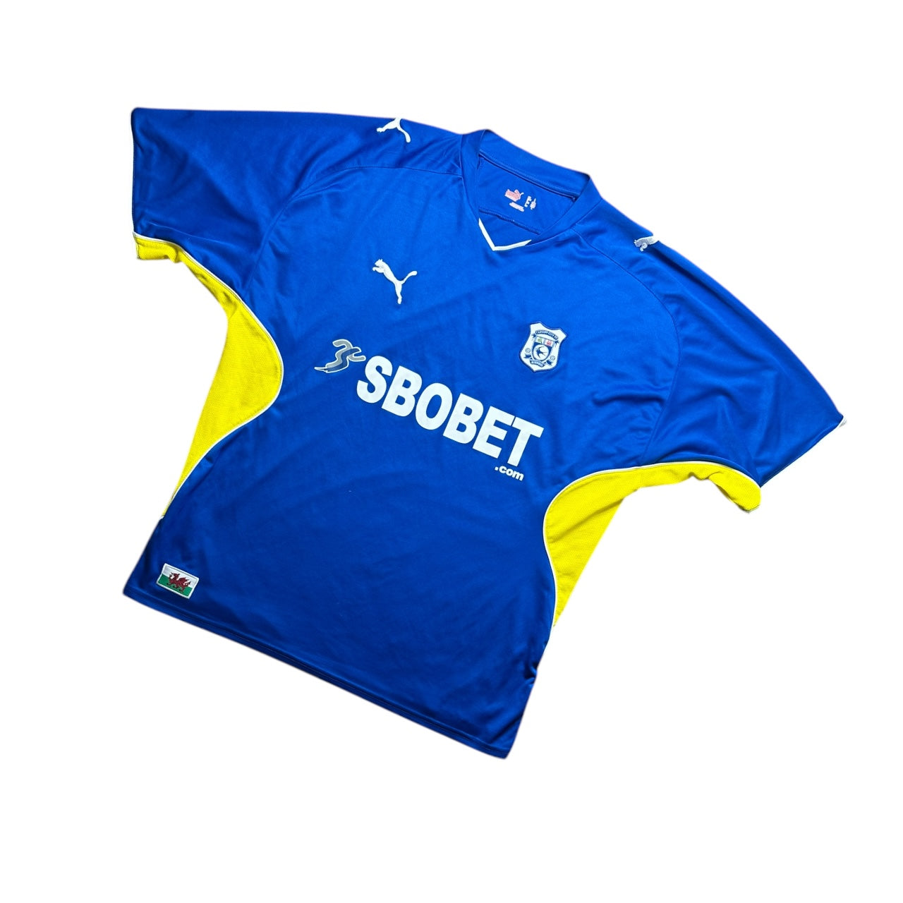 Cardiff Football Shirt 2009/2010 Home (L)
