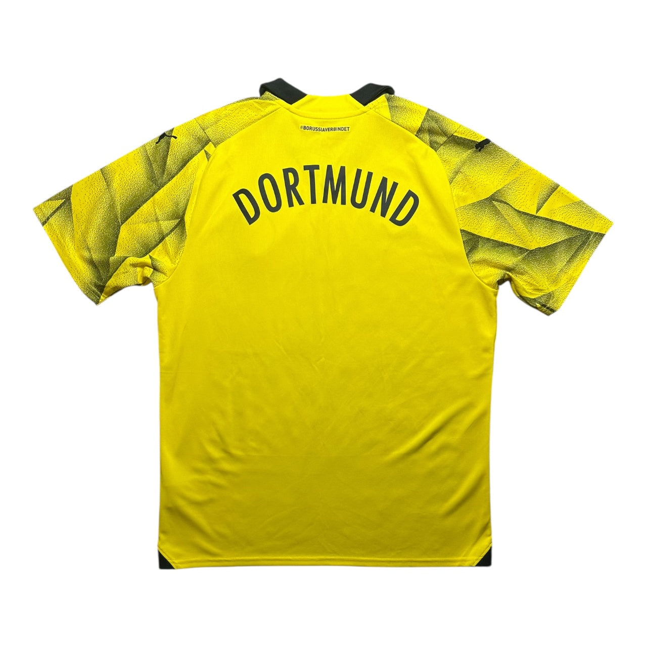 Borussia Dortmund Football Shirt 2023/2024 Home Cup (L)