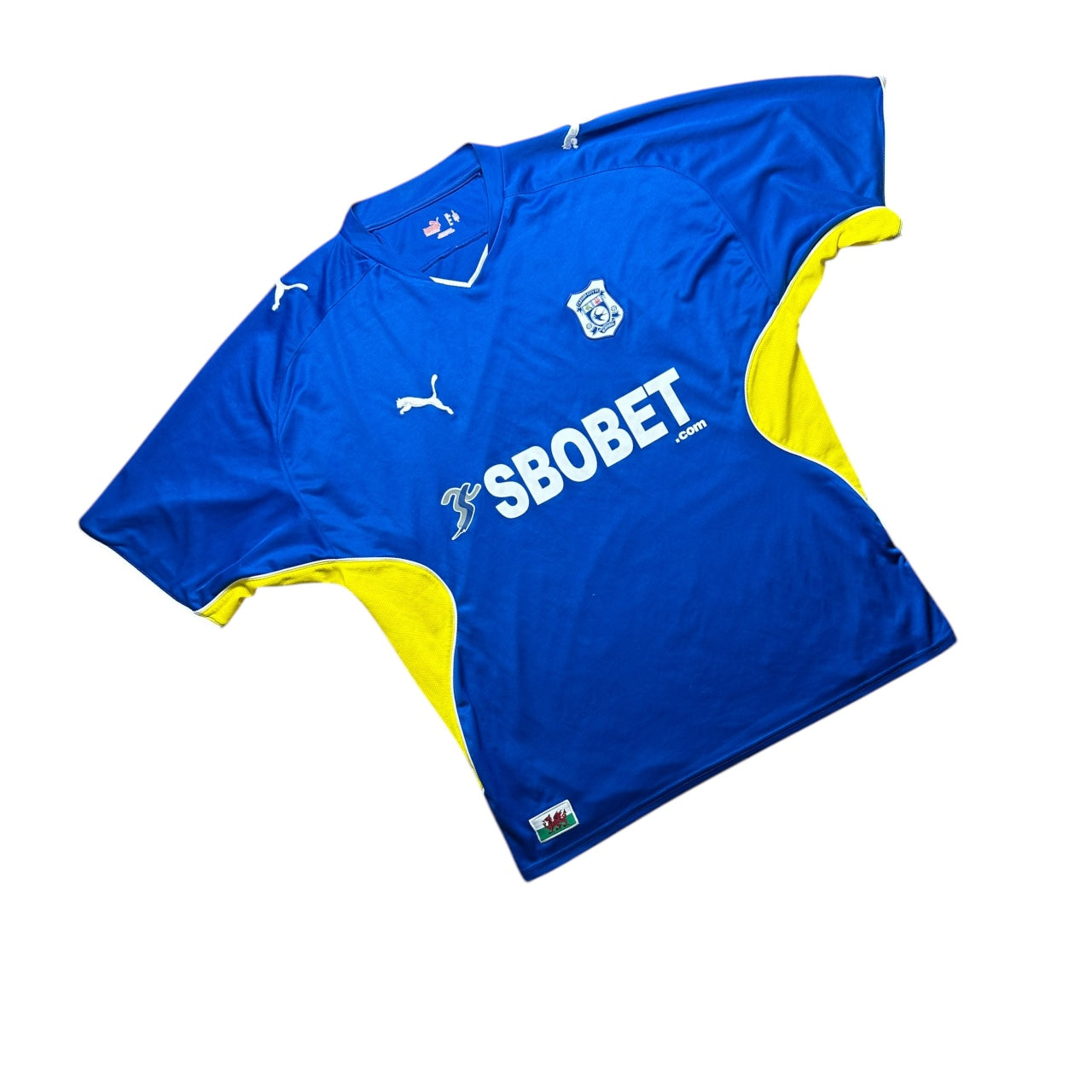 Cardiff Football Shirt 2009/2010 Home (L)