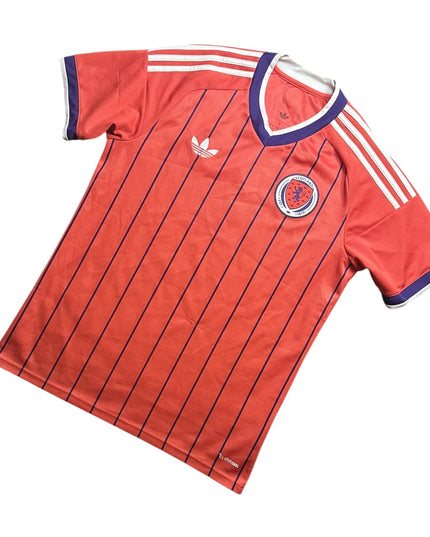 Scotland Football Shirt Away 2025/2026 (M)