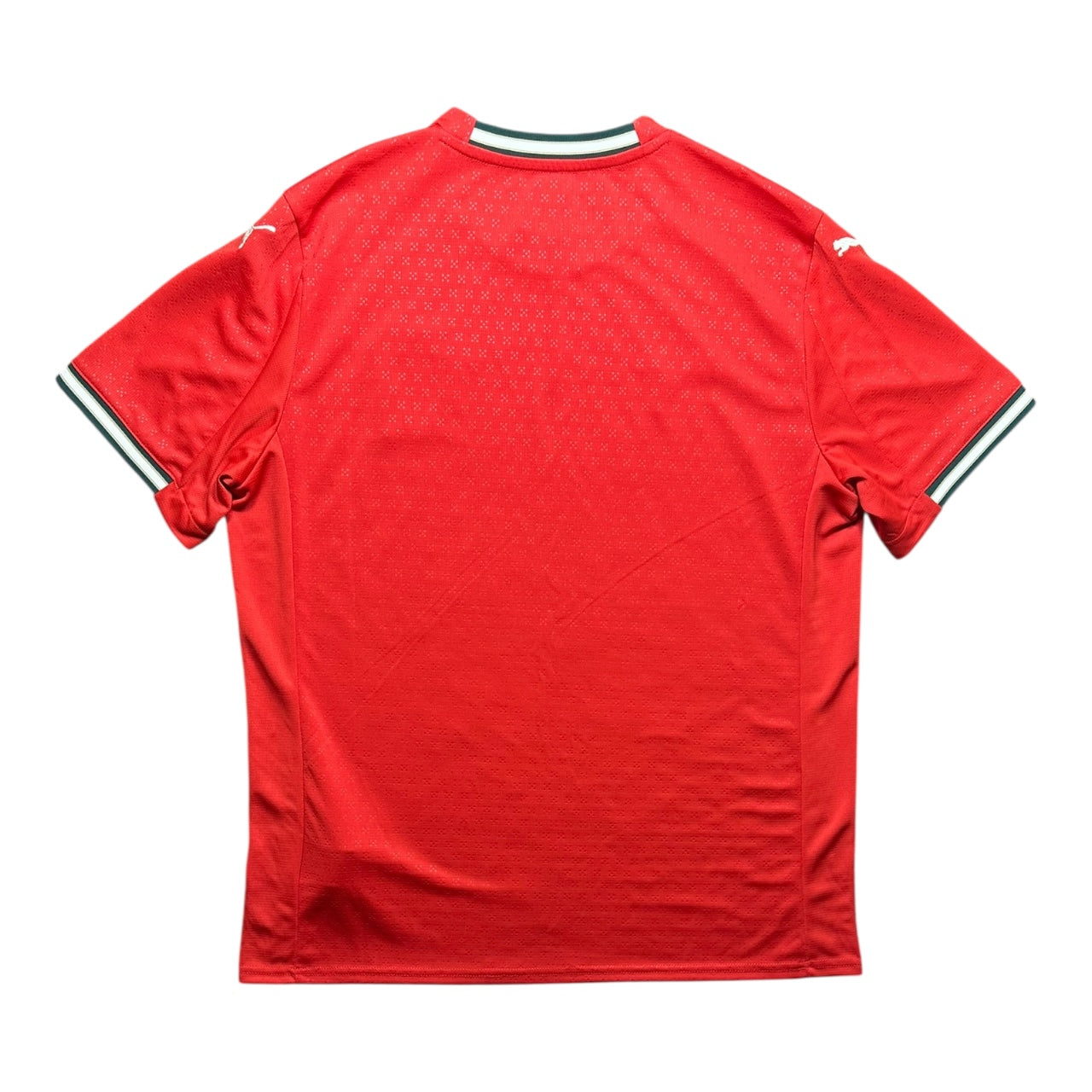 Portugal Football Shirt Home 2025/2026 (L)