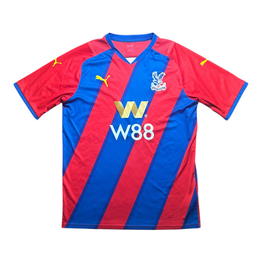 Crystal Palace Football Shirt 2021/2022 Home (L)