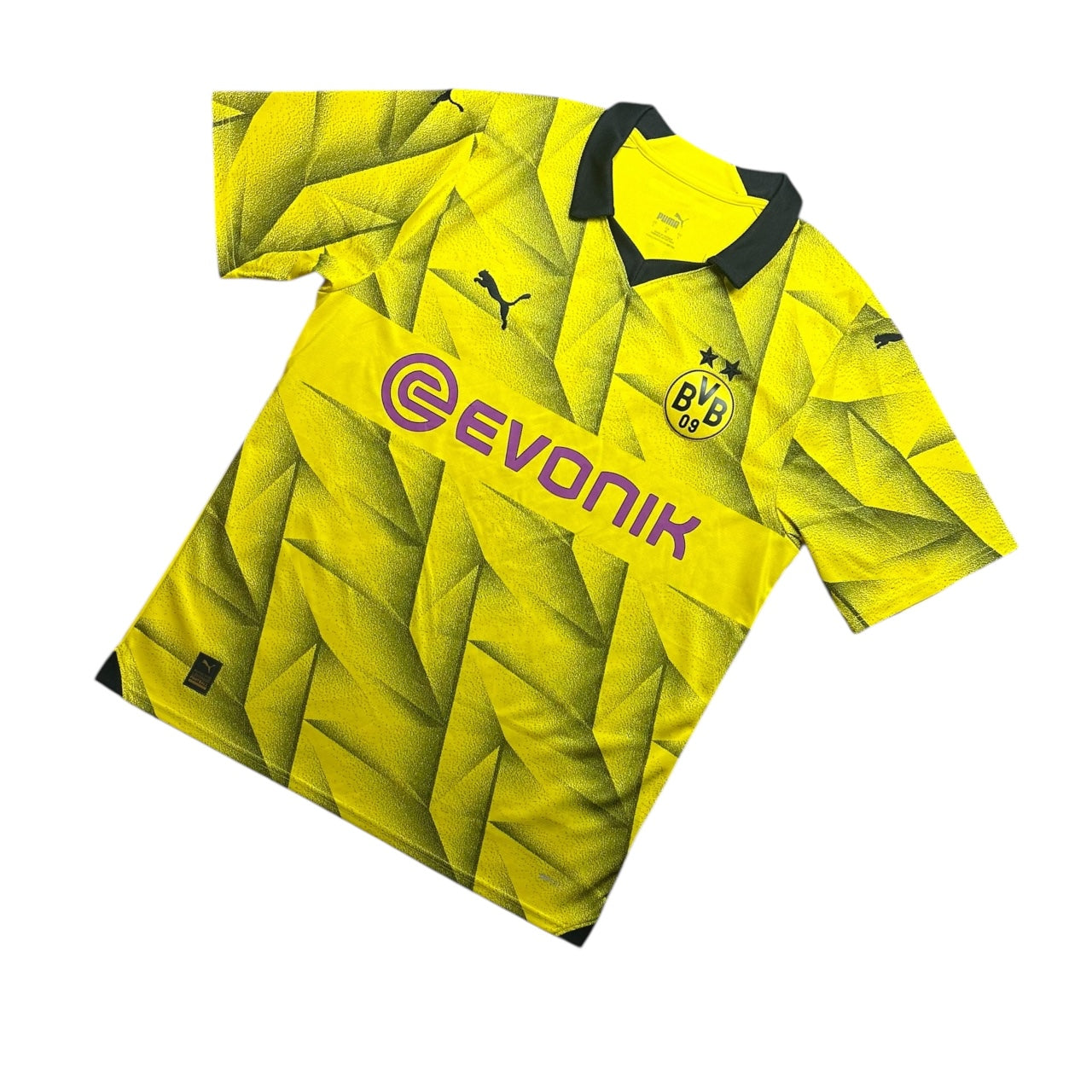 Borussia Dortmund Football Shirt 2023/2024 Home Cup (L)