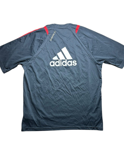 Liverpool Football Shirt 2009/2010 Training Shirt (XL)