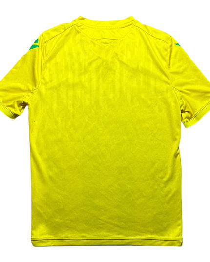 Nantes Football Shirt 2020/2021 Home (S)