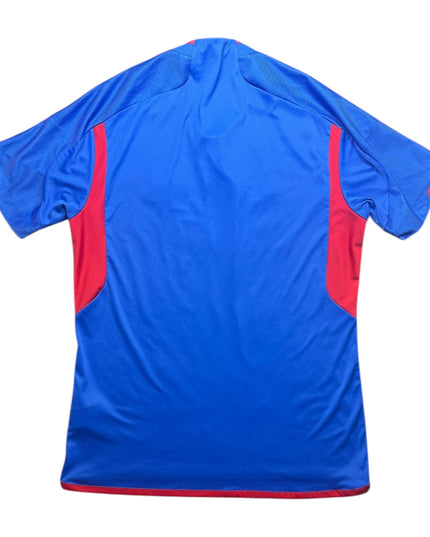 Lyon Football Shirt Away 2023/2024 (L)