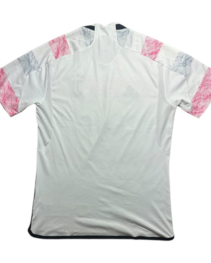 Juventus Football Shirt 2023/2024 Away (L)
